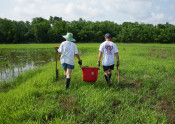 Two volunteers hauling a bucket during a wetland restoration project